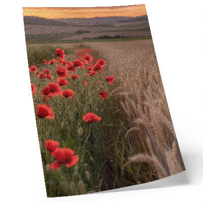 Plakat Maki sončni zahod narava barva harmonija