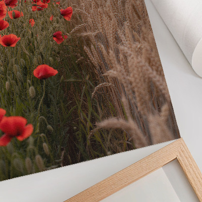 Plakat Maki sončni zahod narava barva harmonija