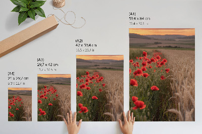 Plakat Maki sončni zahod narava barva harmonija