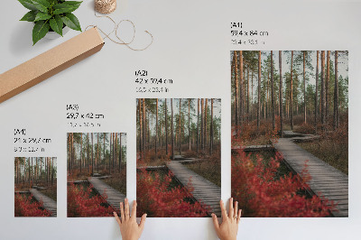 Eleganten plakat za dnevno sobo Lesena pot gozd drevesa jesenske barve