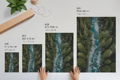 Plakat Zelena gozdna reka elegantna naravna harmonija za dnevno sobo