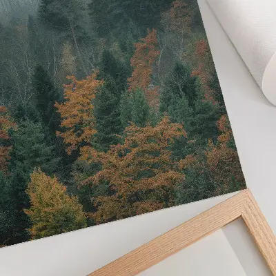 Umetniški tisk na platno z motivom zelene megle in oranžnega listja za občutek miru