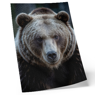 Umetniški tisk na platno Realističen portret medveda, mirnega in močnega