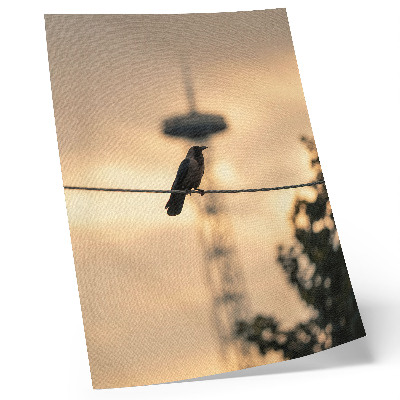 Eleganten plakat za dnevno sobo Ptica na žici, večerno nebo, nežno ozadje