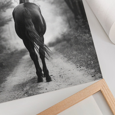 Plakat Fotografija črno-belega konja v gozdu