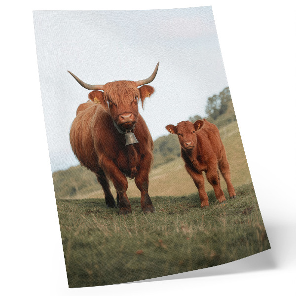 Premium stenski plakat Rustikalna goveda na ozadju zelenja in dreves