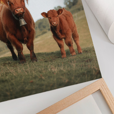 Premium stenski plakat Rustikalna goveda na ozadju zelenja in dreves