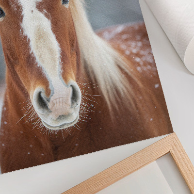 Premium stenski plakat Konjski portret zima mir naravnost harmonija