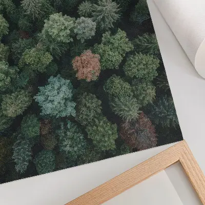 Plakat za dnevno sobo gozdna pokrajina z barvnimi listi posneta iz zraka