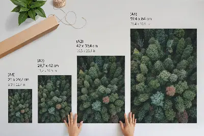 Plakat za dnevno sobo gozdna pokrajina z barvnimi listi posneta iz zraka