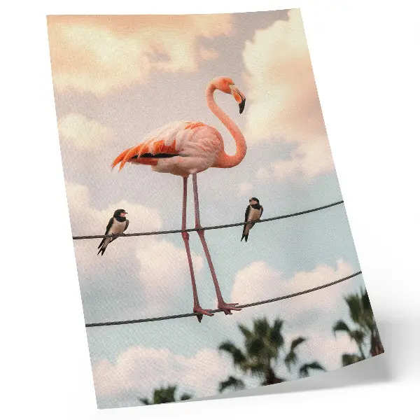Plakat flamingo ali oblaki, ki naravno požirajo