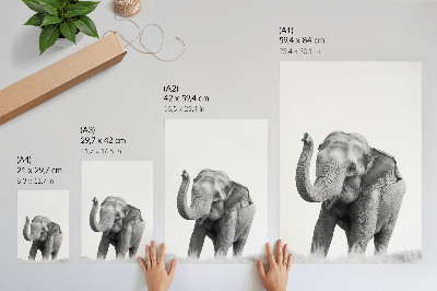 Premium stenski plakat Enobarvni slon z dvignjenim rilcem