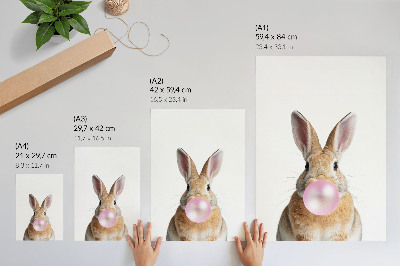 Eleganten plakat za dnevno sobo Zajci živali roza žvečilni gumi