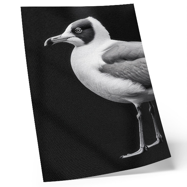 Plakat Minimalistični slog kontrasta črno-bele ptice