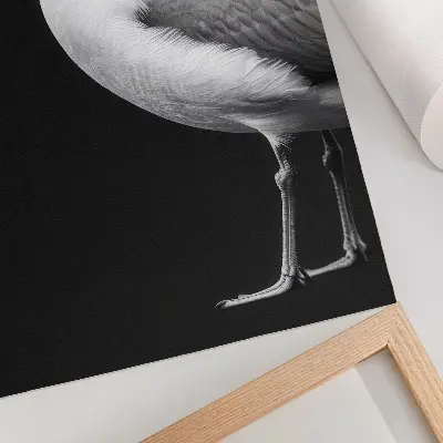 Plakat minimalistični črno-beli motiv ptice