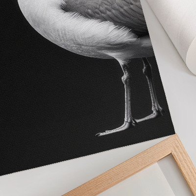 Plakat Minimalistični slog kontrasta črno-bele ptice
