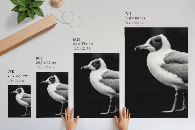 Plakat Minimalistični slog kontrasta črno-bele ptice