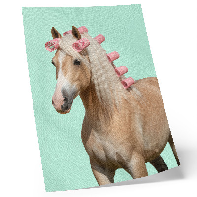 Plakat Konjski lahki plašč mint pastelne barve navijalke