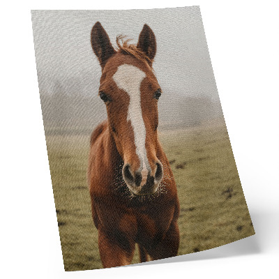 Premium stenski plakat Toplo rjavi in ​​beli konji v perspektivi