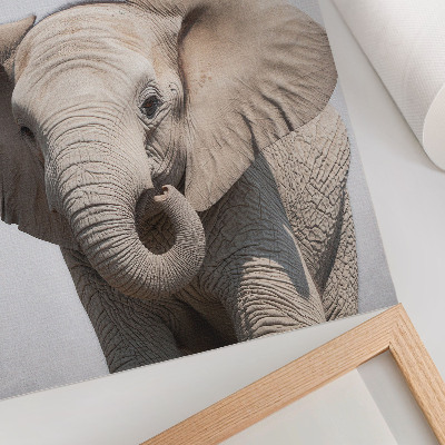 Premium stenski plakat Mladi slon na svetlem ozadju