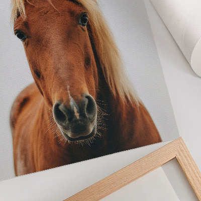 Premium stenski plakat Konjski portret minimalizem naravna lepota eleganca