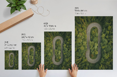 Plakat Ozka, vijugasta cesta skozi zeleni gozd