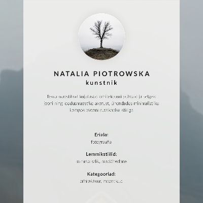 Plakat Lesena koča v minimalizmu ob vodi
