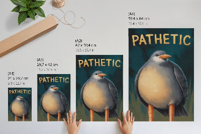 Eleganten plakat za dnevno sobo Smešna ptica nenavadnih barv turkizno ozadje