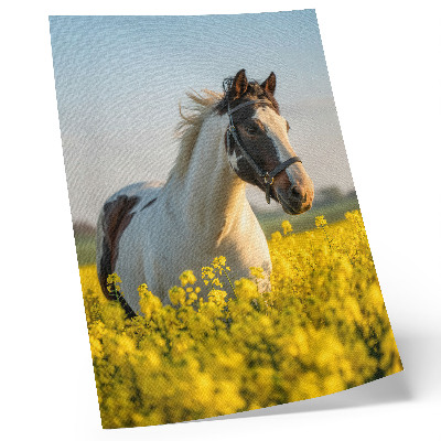 Eleganten plakat za dnevno sobo Eleganten konj na spomladanskem polju, polnem rož