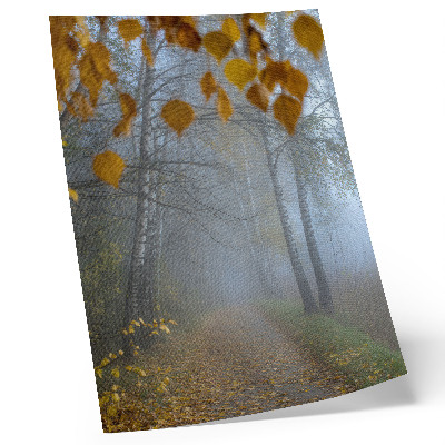 Plakat Megleno jesenski gozd breze rumeni listi