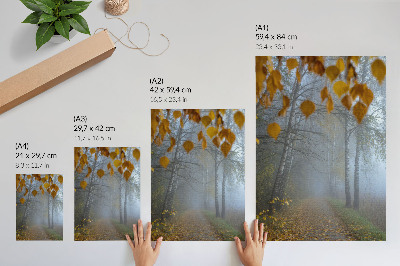 Plakat Megleno jesenski gozd breze rumeni listi