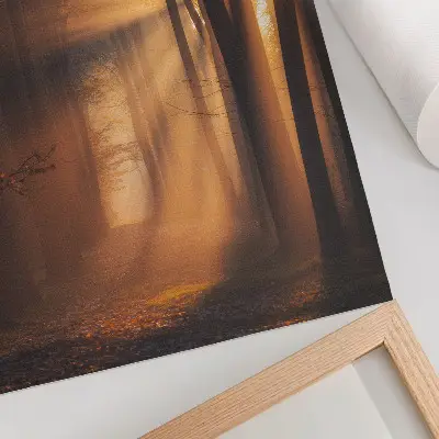 Umetniški tisk na platno čarobna svetloba v gozdu z drevesi in sončnimi žarki za mirno vzdušje