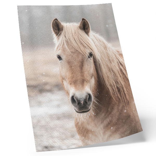 Plakat Konj zima nežne barve mir narava