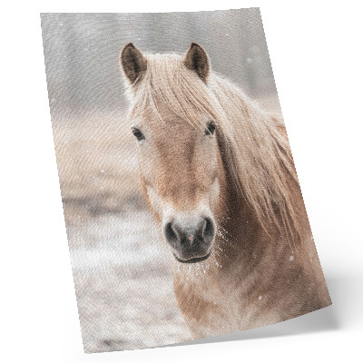 Plakat Konj zima nežne barve mir narava