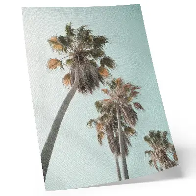 Umetniški tisk na platno palme pod nežno modrim eksotičnim nebom