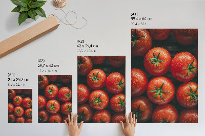 Plakat Sočni paradižniki s kapljicami vode