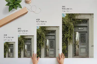 Plakat za dnevno sobo starinska vrata z bršljanom in skrivnostna pot