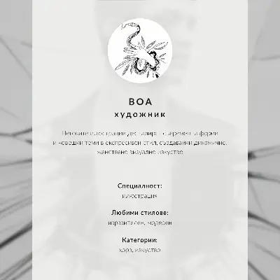 Plakat za dnevno sobo z barvitimi portreti žensk z različnimi modnimi pričeskami