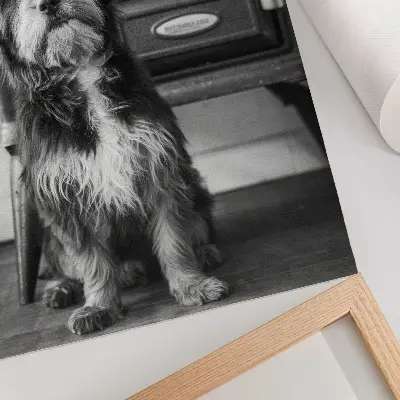 Premium stenski plakat miren črno-bel pes ob stari peči