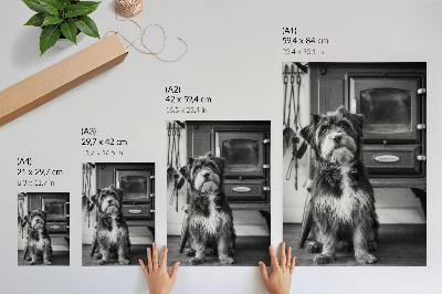 Premium stenski plakat Miren črno-bel pes stoji ob stari peči