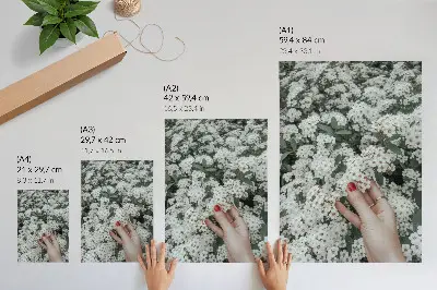 Premium stenski plakat z motivom belih rož, zelenih rok in rdečih nohtov
