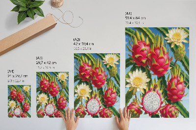 Premium stenski plakat Eksotično sadje kaktusi nebo svetle barve