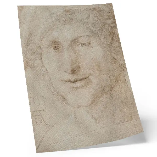 Plakat Glava mladeniča (1503), Albrecht Dürer eleganten dekorativni tisk za dnevno sobo