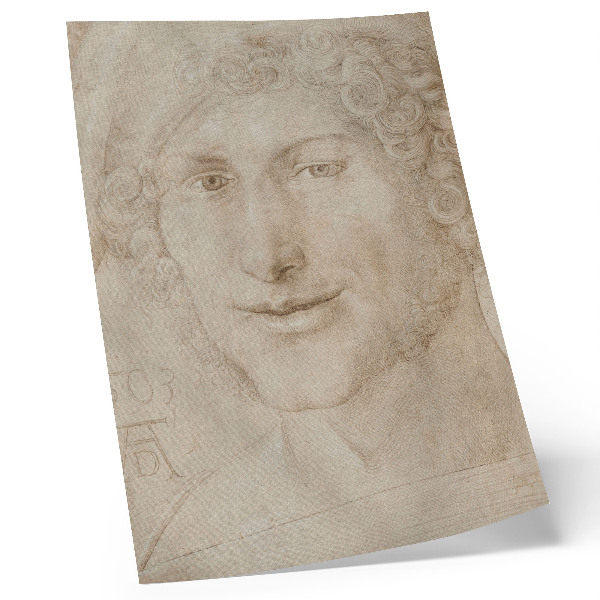 Eleganten plakat za dnevno sobo Glava mladeniča (1503), Albrecht Dürer
