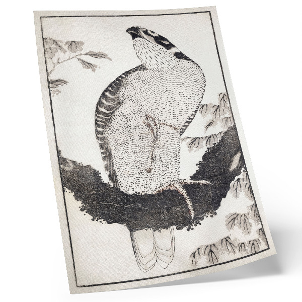 Plakat Ptica iz albuma skic Katsushike Hokusaija (1814), starinski japonski lesorez