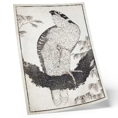 Plakat ptica iz albuma skic Katsushike Hokusaija iz leta 1814, starinski japonski lesorez