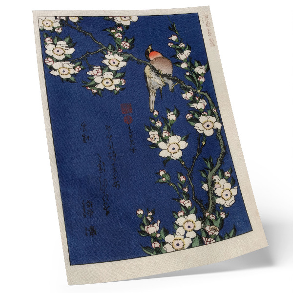 Plakat Katsushika Hokusai (1760-1849), Robin na veji češnjevega cveta