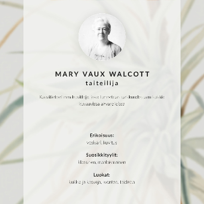 Umetniški tisk na platno Divji ananas (Tillandsia fasciculata) (1921) avtorice Mary Vaux Walcott