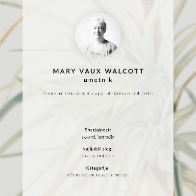 Umetniški tisk na platno Divji ananas (Tillandsia fasciculata) (1921) avtorice Mary Vaux Walcott