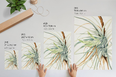 Umetniški tisk na platno Divji ananas (Tillandsia fasciculata) (1921) avtorice Mary Vaux Walcott